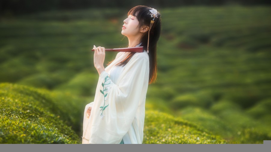 广州SEO排名电话：让您的网站轻松爬上搜索引擎榜首