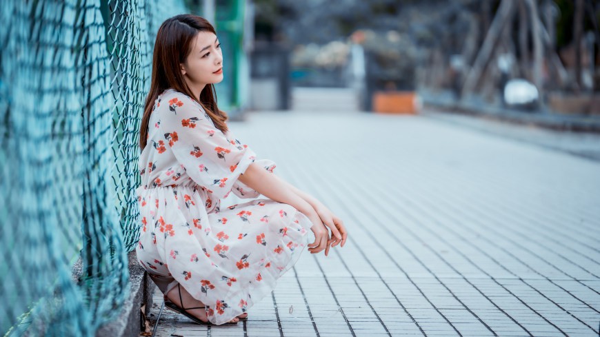 揭秘SEO综合查询工具有哪些：助你全面提升网站排名的秘诀