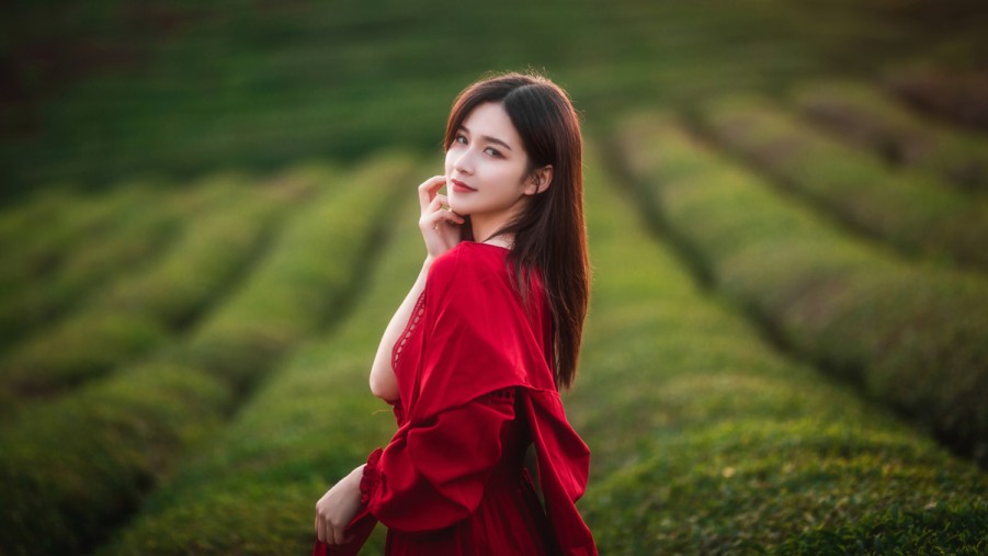 揭秘SEO与SN：为你的网站和社交媒体带来无限潜力
