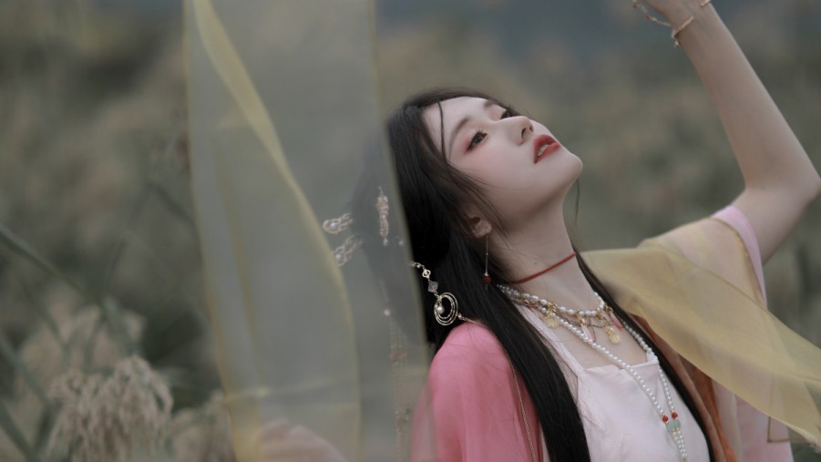 大连SEO：助您企业在互联网上的稳步崛起