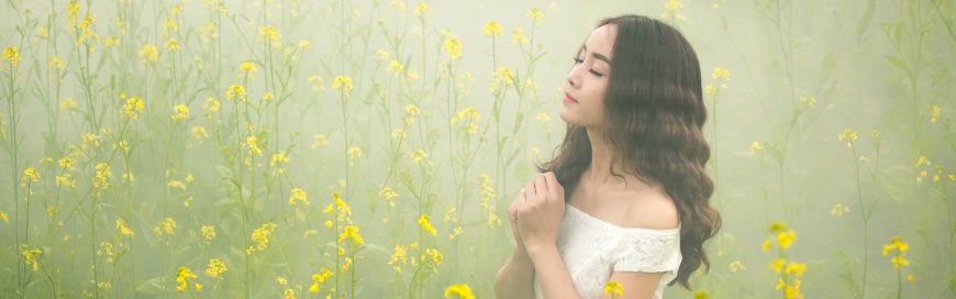 丹东优化排名SEO：提升你的网站在搜索引擎中的曝光率